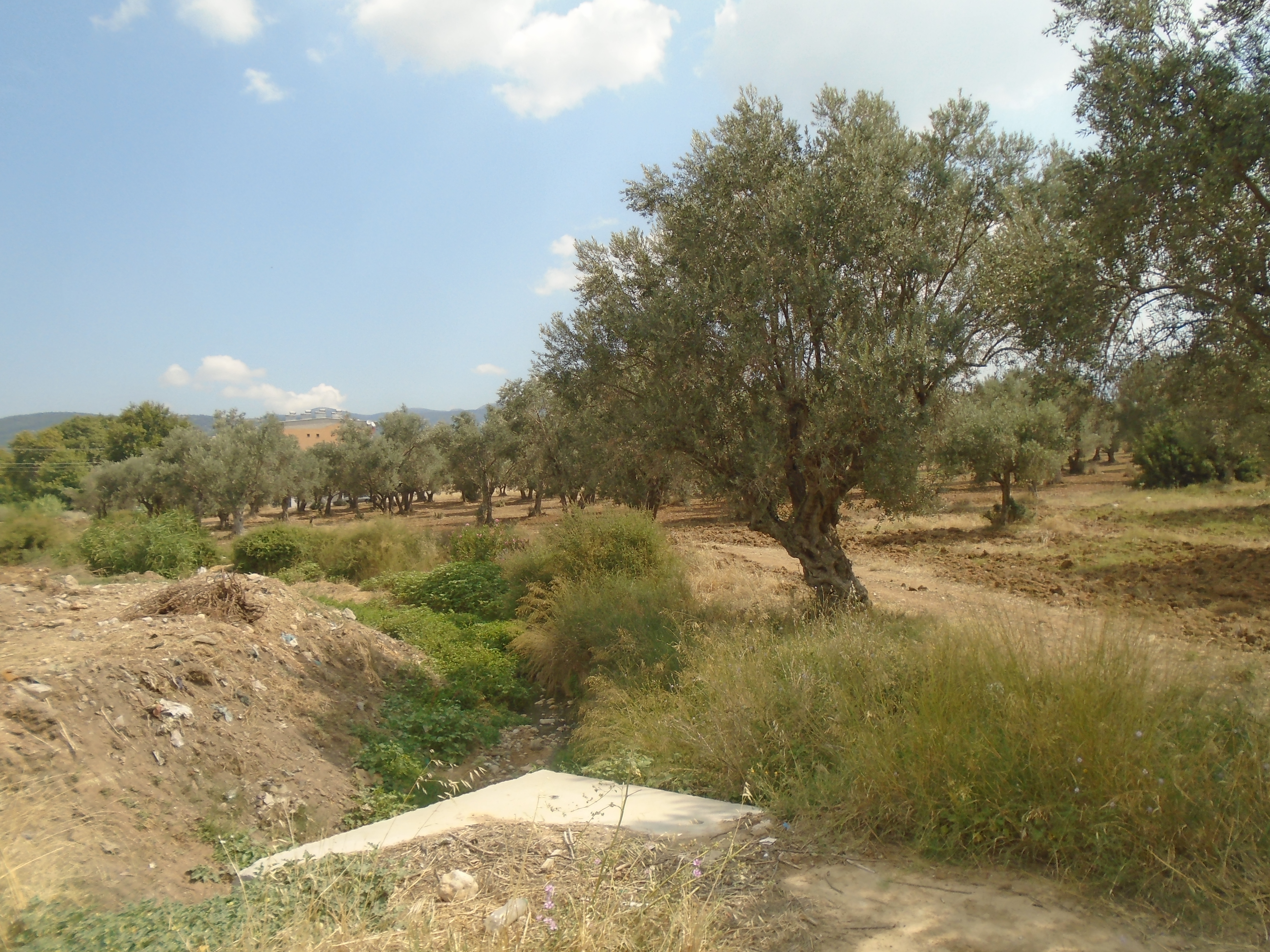 UŞAK MERKEZ SATILIK DAİRE