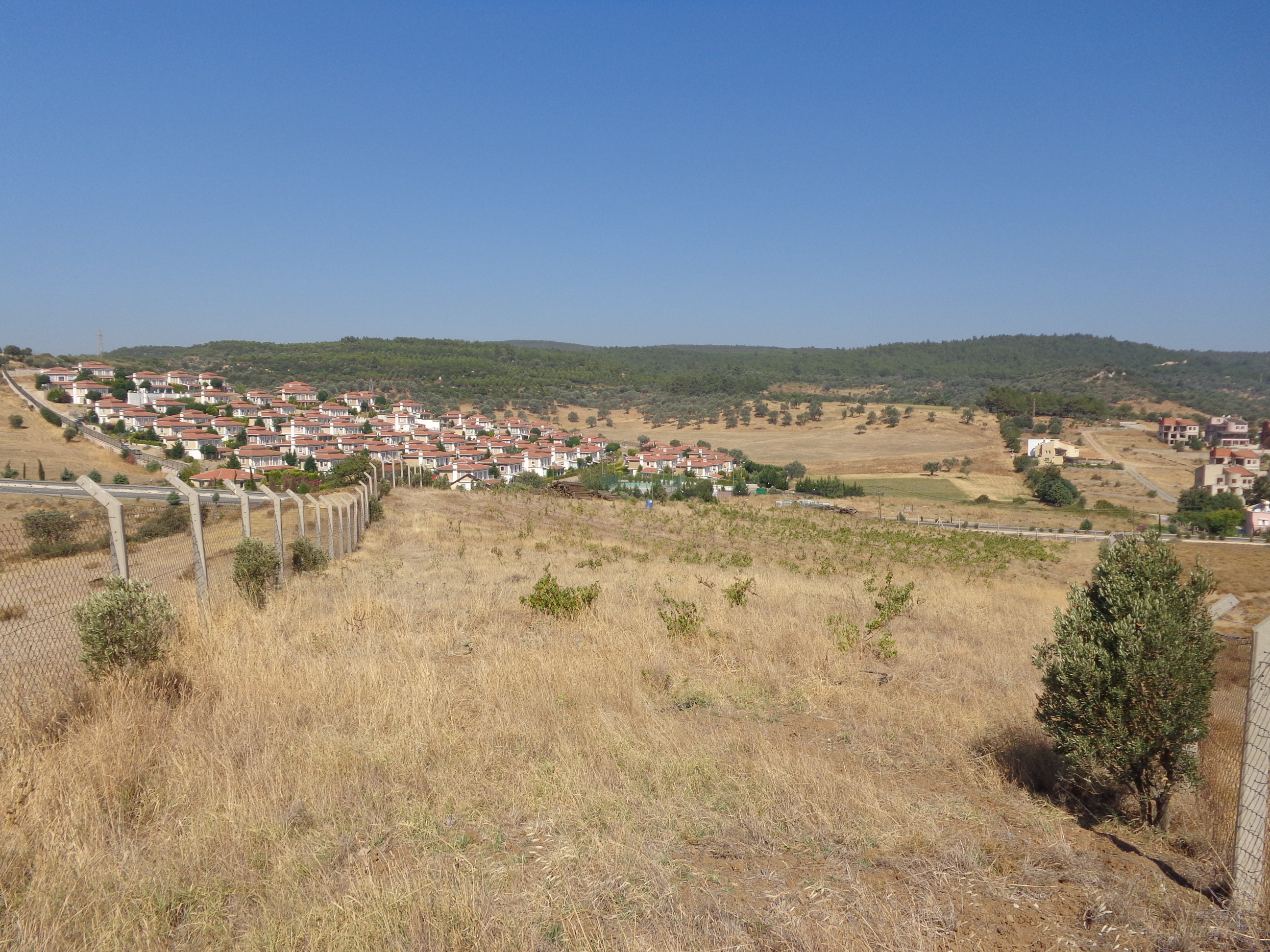 MUĞLA BODRUM SATILIK BAHÇE