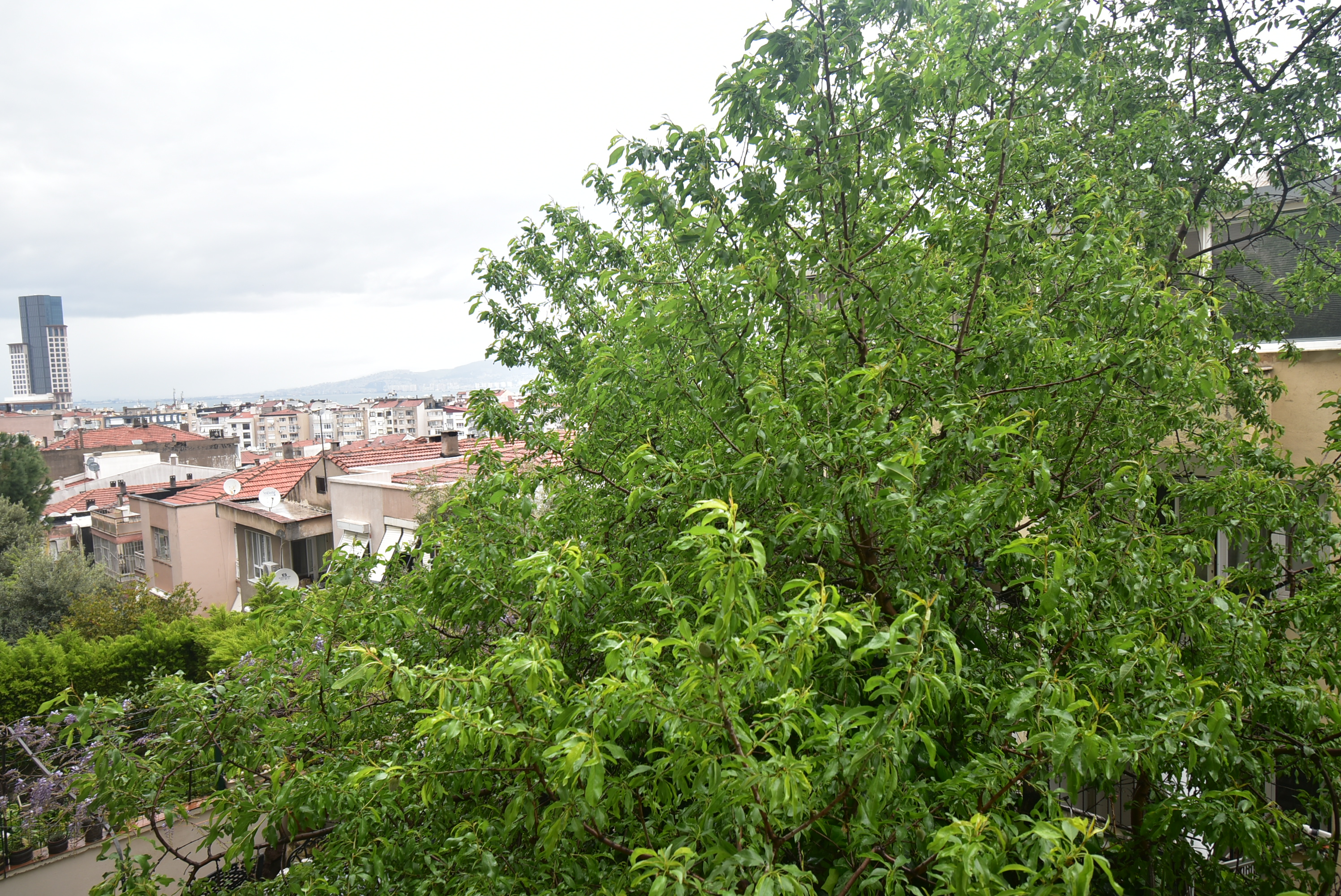 Yeni Kiralık Tripleks Daire