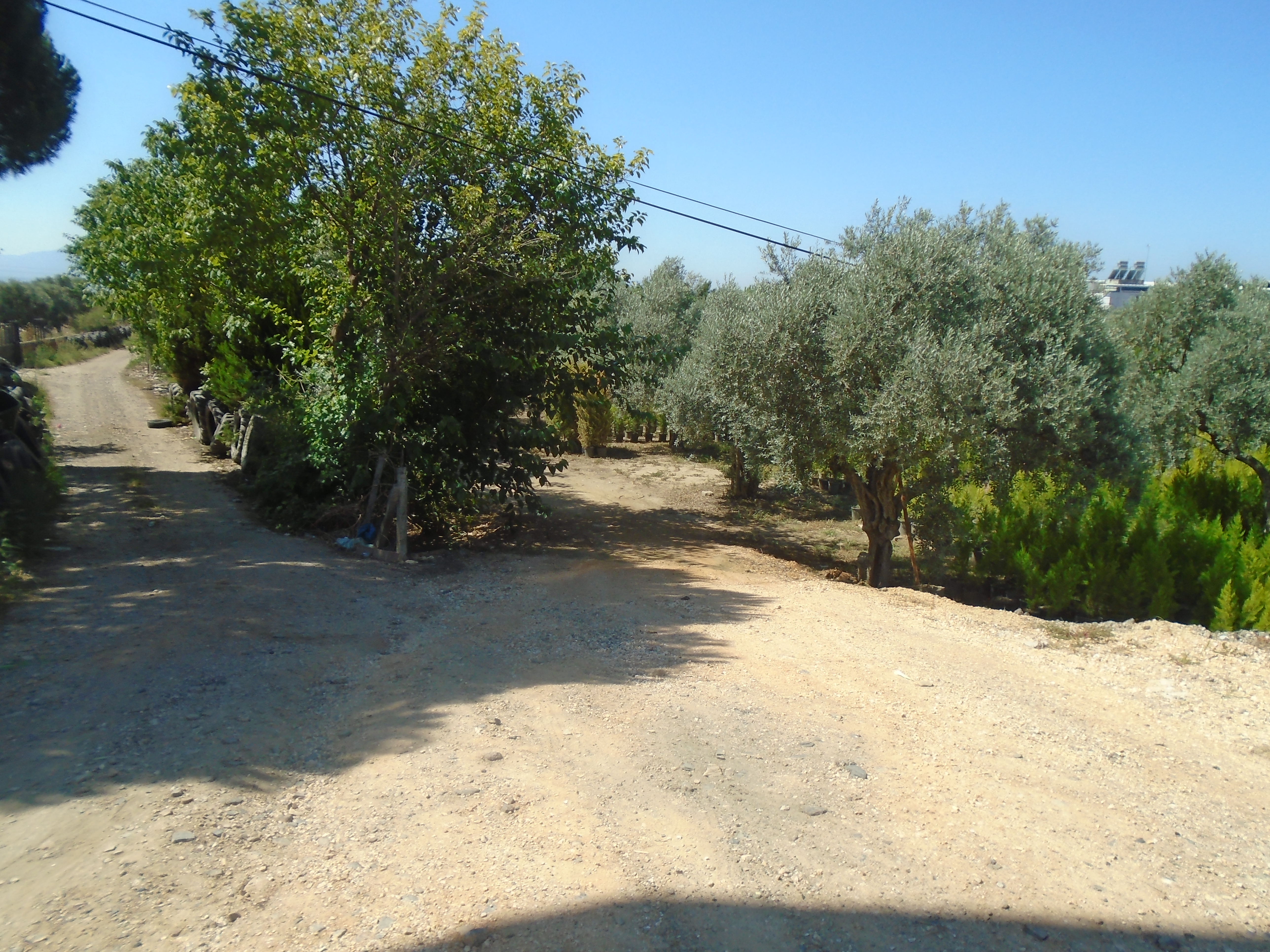 BALÇOVA İMARLI ARSA